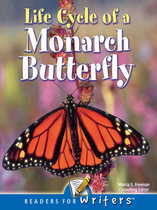 Cover image for Life Cycle of a Monarch Butterfly